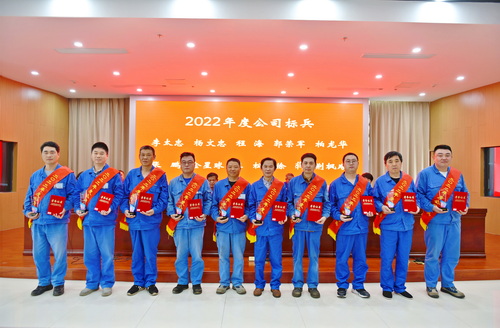 (Figure 6 Commending Company Role Models).jpg