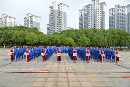 4-方阵-压缩.JPG
